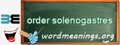 WordMeaning blackboard for order solenogastres